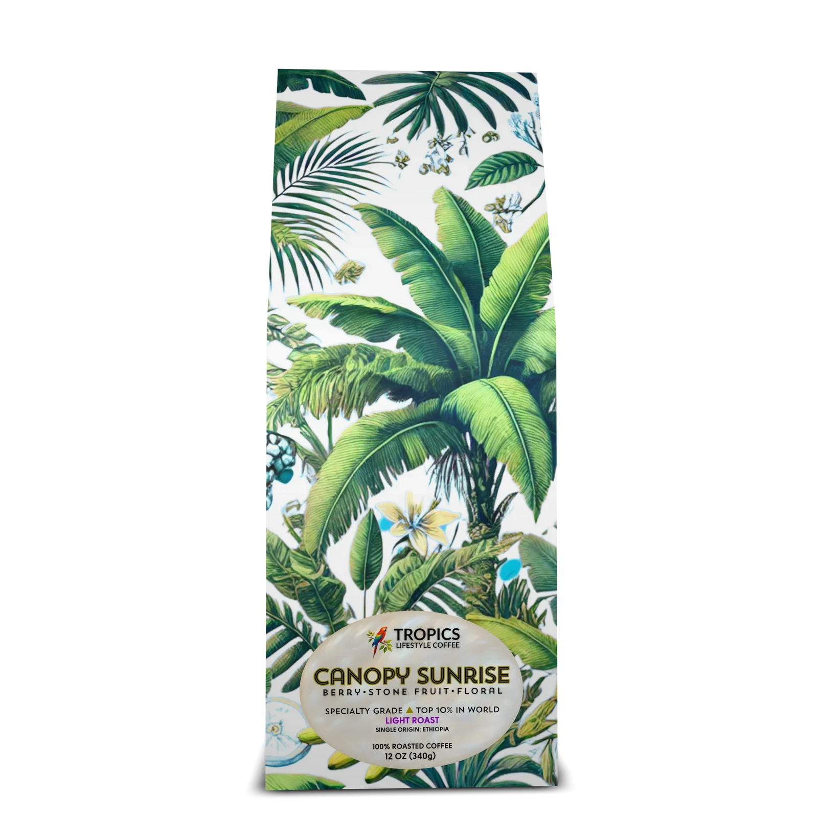 All Canopy Sunrise Art Box Coffee