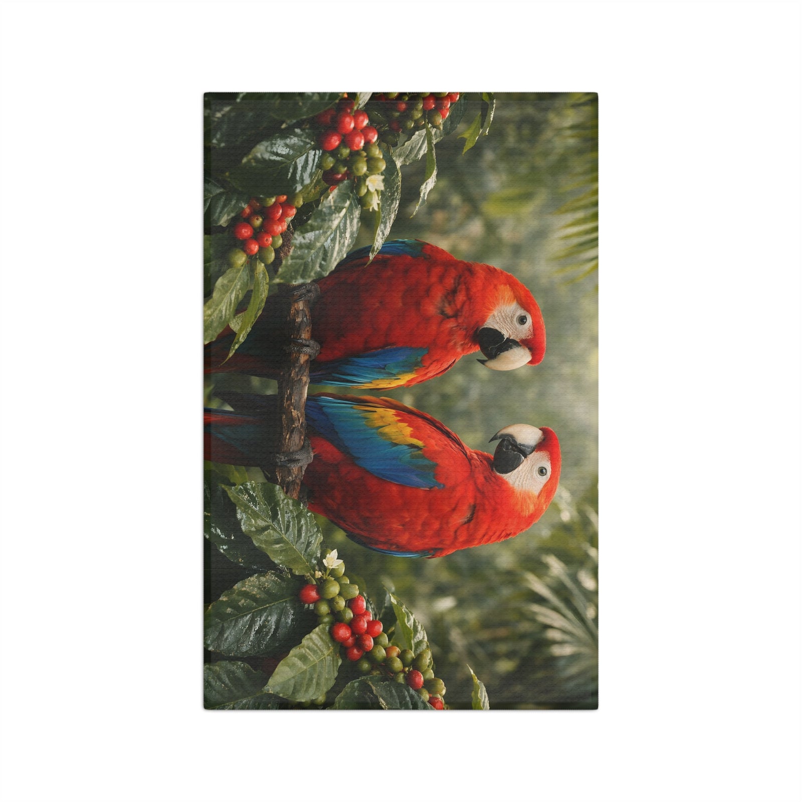 Microfiber Tea Towel — Paradise Pair Kitchen Towel