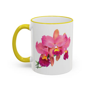 Accent Rim & Handle Mug – Tropics Lifestyle Coffee, Deco Long Logo