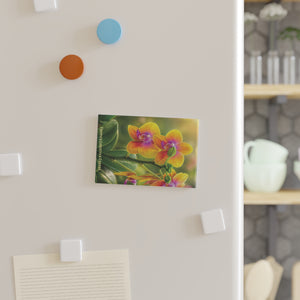 Fiesta Orchids Flower Rectangle Magnet — Tropics Lifestyle Coffee Decorative Fridge Magnet
