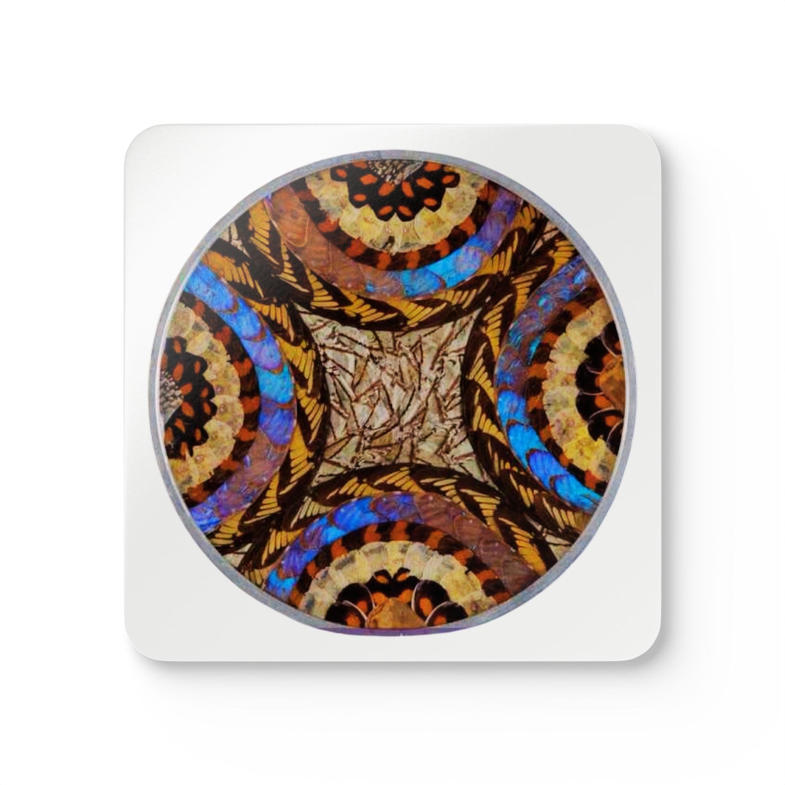 Coaster Set/4 - Real Butterfly Wing Plate #3