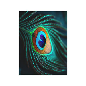 Tropical Peacock Eye Postcard Bundles (envelopes included) ~ 4 sizes