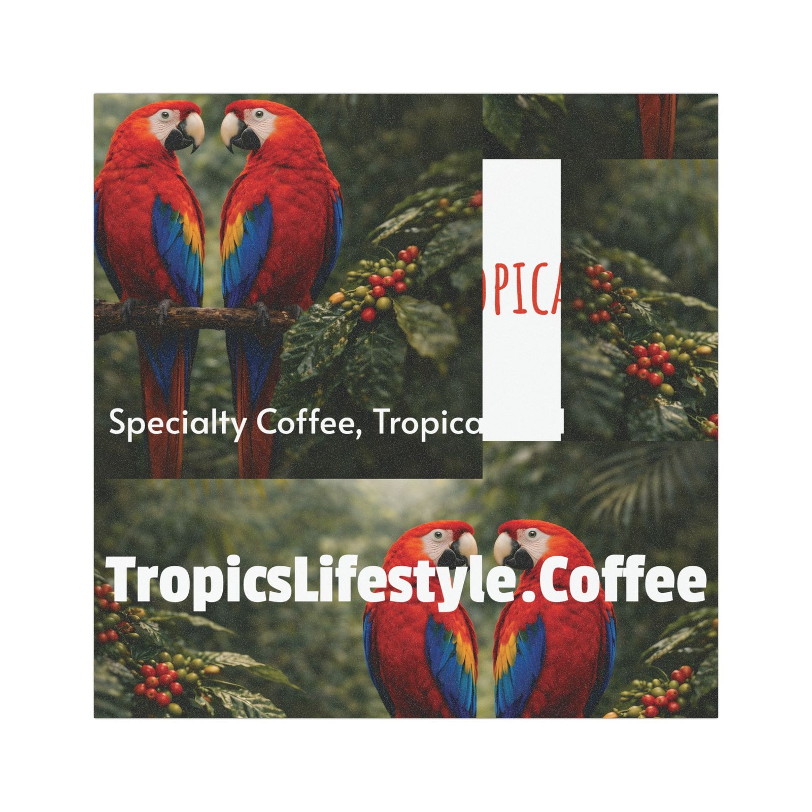 Car Magnet — Tropics Lifestyle Coffee Logo (Luxury Coffee, Tropical Soul)