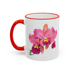 Accent Rim & Handle Mug – Tropics Lifestyle Coffee, Deco Long Logo