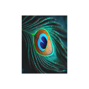 Tropical Peacock Eye Postcard Bundles (envelopes included) ~ 4 sizes