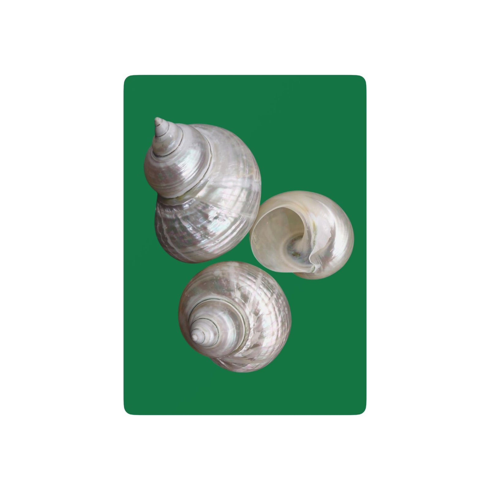 Poker-Sized Playing Cards - White Nautilus Trio, dark green