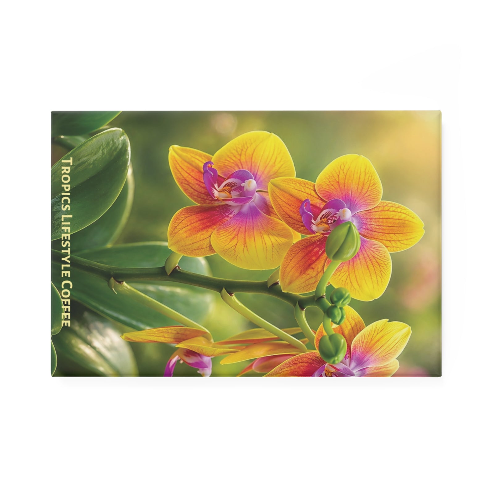 Fiesta Orchids Flower Rectangle Magnet — Tropics Lifestyle Coffee Decorative Fridge Magnet