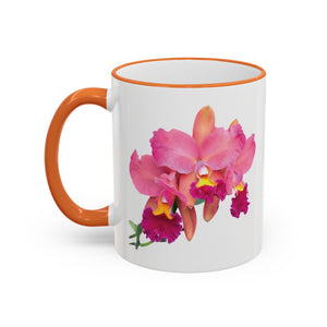 Accent Rim & Handle Mug – Tropics Lifestyle Coffee, Deco Long Logo