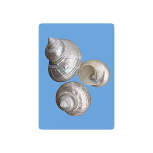 Poker-Sized Playing Cards - White Nautilus Trio, lt. blue