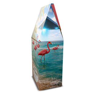 Beach Sunrise Art Box Coffee 12 Oz : UFO & Flamingos - Tropics Lifestyle Coffee