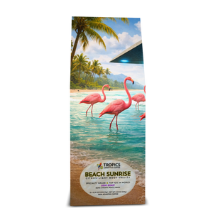 Beach Sunrise Art Box Coffee 12 Oz : UFO & Flamingos - Tropics Lifestyle Coffee