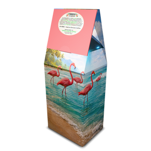 Beach Sunrise Art Box Coffee 12 Oz : UFO & Flamingos - Tropics Lifestyle Coffee
