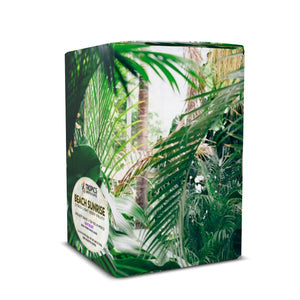 Beach Sunrise Art Box Coffee Pods/12 Pack: Rainforest Greens - Tropics Lifestyle Coffee