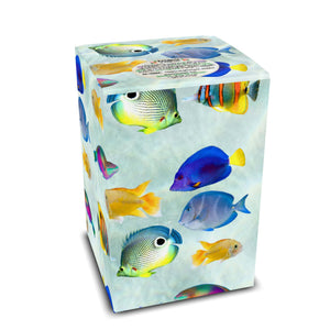 Beach Sunrise Art Box Coffee Pods/12 Pack: School of Fish - Tropics Lifestyle Coffee