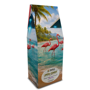 Jade Coast Art Box Cofee 12 Oz: UFO & Flamingos - Tropics Lifestyle Coffee