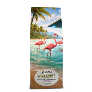 Jade Coast Art Box Cofee 12 Oz: UFO & Flamingos - Tropics Lifestyle Coffee
