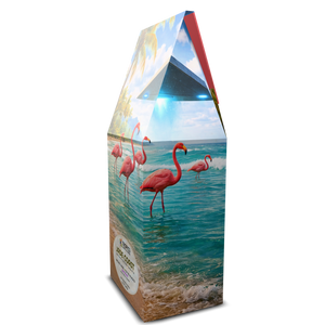 Jade Coast Art Box Cofee 12 Oz: UFO & Flamingos - Tropics Lifestyle Coffee