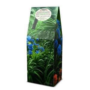 Jade Coast Art Box Coffee 12 Oz: After the Rainforest Rain - Tropics Lifestyle Coffee