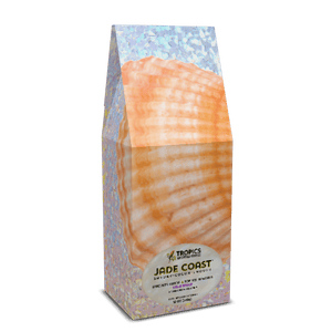 Jade Coast Art Box Coffee 12 Oz: Disco Orange Scallop - Tropics Lifestyle Coffee