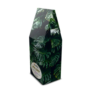 Jade Coast Art Box Coffee 12 Oz: Monsteras - Tropics Lifestyle Coffee