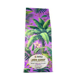 Jade Coast Art Box Coffee 12 Oz: Palms & Bananas, Purple - Tropics Lifestyle Coffee