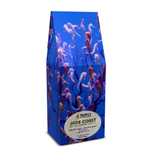 Jade Coast Art Box Coffee 12 Oz: Seahorse Party - Tropics Lifestyle Coffee