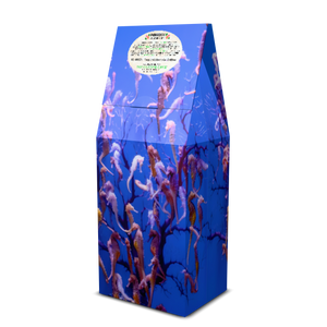 Jade Coast Art Box Coffee 12 Oz: Seahorse Party - Tropics Lifestyle Coffee