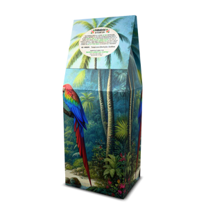 Jungle Shroom Art Box Coffee/Mushroom 12 Oz: Sleeping Beauty - Tropics Lifestyle Coffee