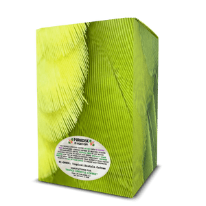 Maple Shore Art Box Coffee Pods/12 Pack: Lime Parrot Feathers - Tropics Lifestyle Coffee