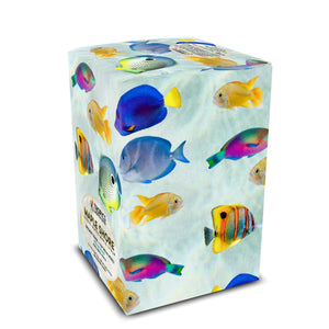 Maple Shore Art Box Coffee Pods/12 Pack: School of Fish - Tropics Lifestyle Coffee