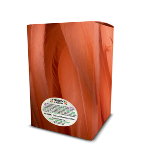 Beach Sunrise Art Box Coffee Pods/12 Pack: Flamingo Feathers