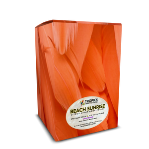 Beach Sunrise Art Box Coffee Pods/12 Pack: Flamingo Feathers