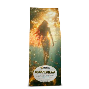 Ocean Breeze Art Box Coffee 12 oz: Mermaid Adventure - Tropics Lifestyle Coffee