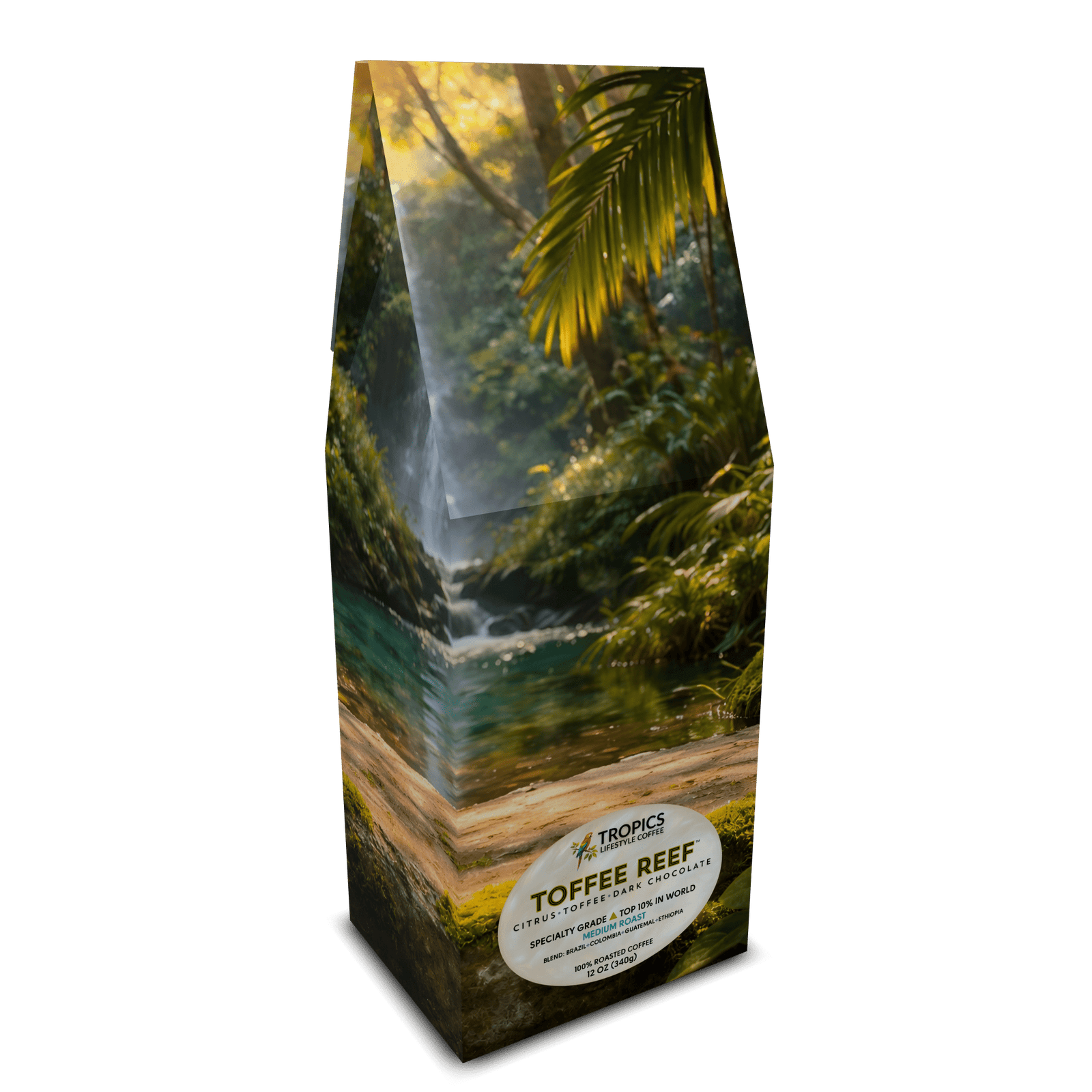 Toffee Reef Art Box Coffee 12 Oz: Rainforest Morning - Tropics Lifestyle Coffee