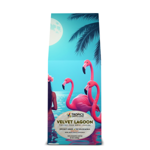 Velvet Lagoon Art Box Coffee 12 Oz: Moonlit Mermaid - Tropics Lifestyle Coffee