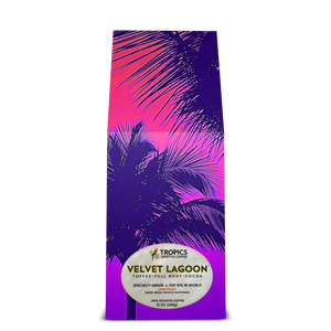 Velvet Lagoon Art Box Coffee 12 Oz: Palm Glow Pop - Tropics Lifestyle Coffee