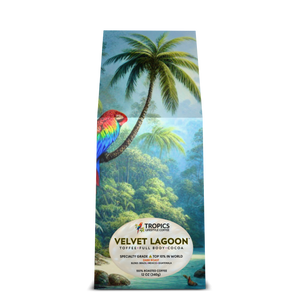 Velvet Lagoon Art Box Coffee 12 Oz: Sleeping Beauty Parrot - Tropics Lifestyle Coffee