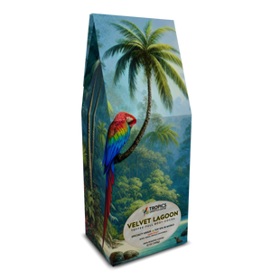 Velvet Lagoon Art Box Coffee 12 Oz: Sleeping Beauty Parrot - Tropics Lifestyle Coffee