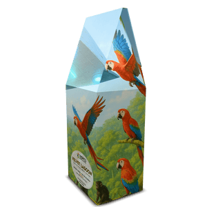 Velvet Lagoon Art Box Coffee 12 Oz: UFO & Macaws - Tropics Lifestyle Coffee