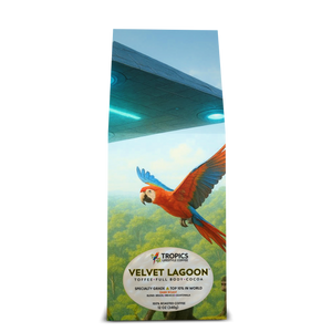 Velvet Lagoon Art Box Coffee 12 Oz: UFO & Macaws - Tropics Lifestyle Coffee