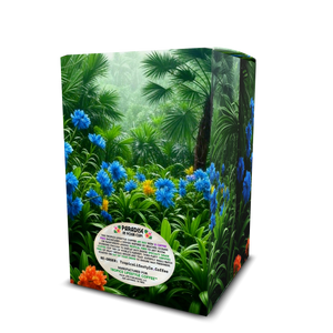 Velvet Lagoon Art Box Coffee Pods/12 Pack: After the Rainforest Rain - Tropics Lifestyle Coffee