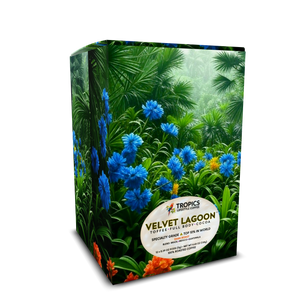 Velvet Lagoon Art Box Coffee Pods/12 Pack: After the Rainforest Rain - Tropics Lifestyle Coffee