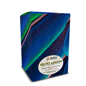 Velvet Lagoon Art Box Coffee Pods/12 Pack: Blue Parrot Feathers - Tropics Lifestyle Coffee