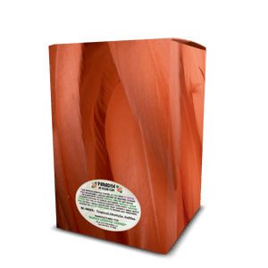 Velvet Lagoon Art Box Coffee Pods/12 Pack: Flamingo Feathers - Tropics Lifestyle Coffee
