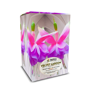 Velvet Lagoon Art Box Coffee Pods/12 Pack: Gothic Fuschias - Tropics Lifestyle Coffee