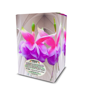 Velvet Lagoon Art Box Coffee Pods/12 Pack: Gothic Fuschias - Tropics Lifestyle Coffee