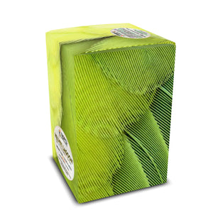 Velvet Lagoon Art Box Coffee Pods/12 Pack: Lime Parrot Feathers - Tropics Lifestyle Coffee