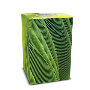 Velvet Lagoon Art Box Coffee Pods/12 Pack: Lime Parrot Feathers - Tropics Lifestyle Coffee