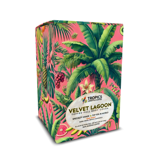 Velvet Lagoon Art Box Coffee Pods/12 Pack: Palms & Bananas, Coral - Pink - Tropics Lifestyle Coffee