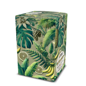 Velvet Lagoon Art Box Coffee Pods/12 Pack: Palms & Bananas, Taupe - Tropics Lifestyle Coffee